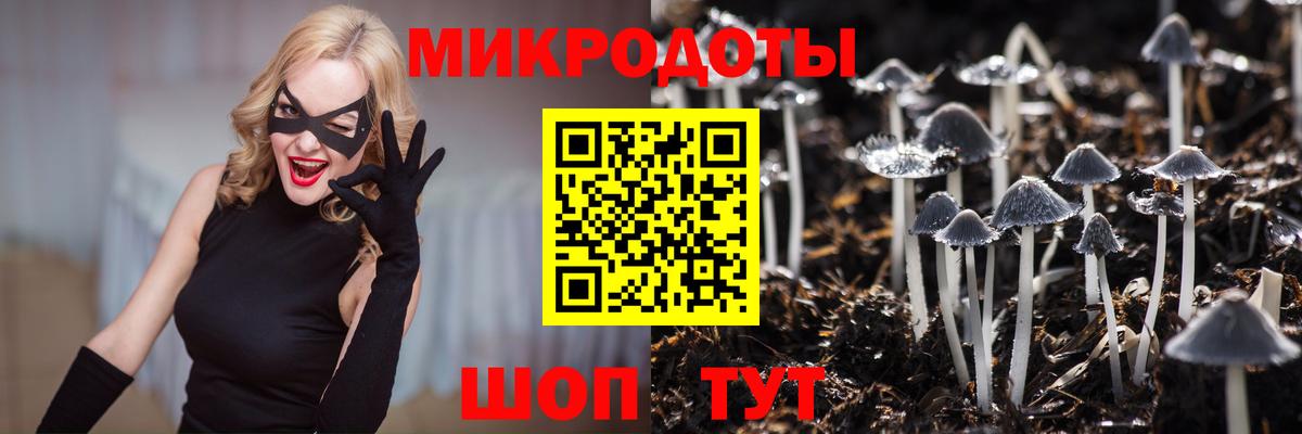 Псилоцибиновые грибы мухоморы  Псилоцибиновые грибы Psilocybe  Рассказово  Вход с VPN 